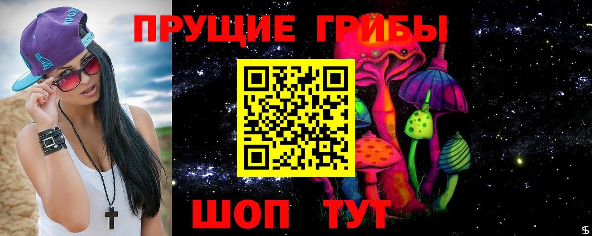 Кувандык  Псилоцибиновые грибы MAGIC MUSHROOMS  Вход с VPN  Галлюциногенные грибы MAGIC MUSHROOMS 