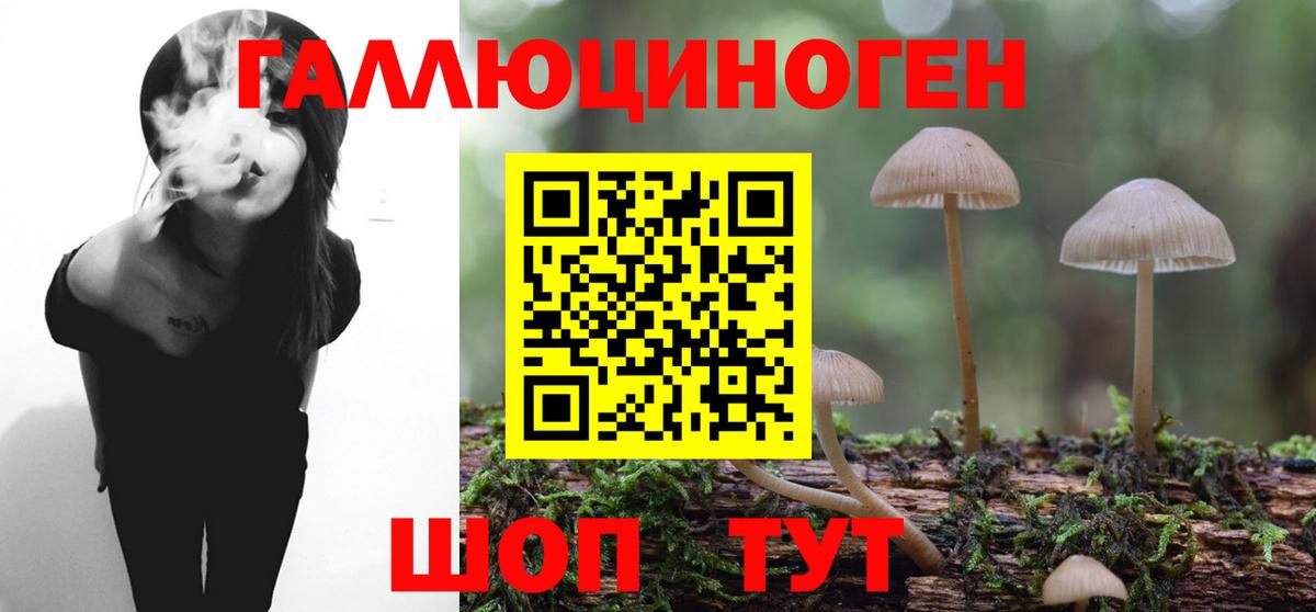 Псилоцибиновые грибы прущие грибы Кувандык